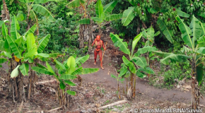 First-ever footage of Uncontacted Amazon Tribe released