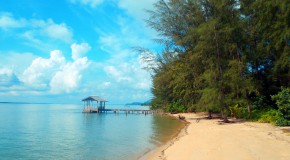 The Jungle of Koh Ra, Thailand