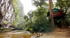Our Jungle House Review – Khao Sok Tree Houses – Thailand