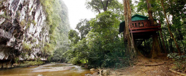Our Jungle House Review – Khao Sok Tree Houses – Thailand