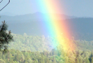 Viral Double Rainbow Video Nearing 33 Million Views!