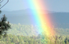 Viral Double Rainbow Video Nearing 33 Million Views!