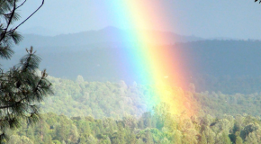 Viral Double Rainbow Video Nearing 33 Million Views!